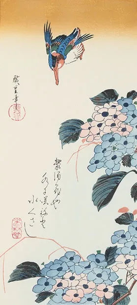 hydrangea and kawazemi